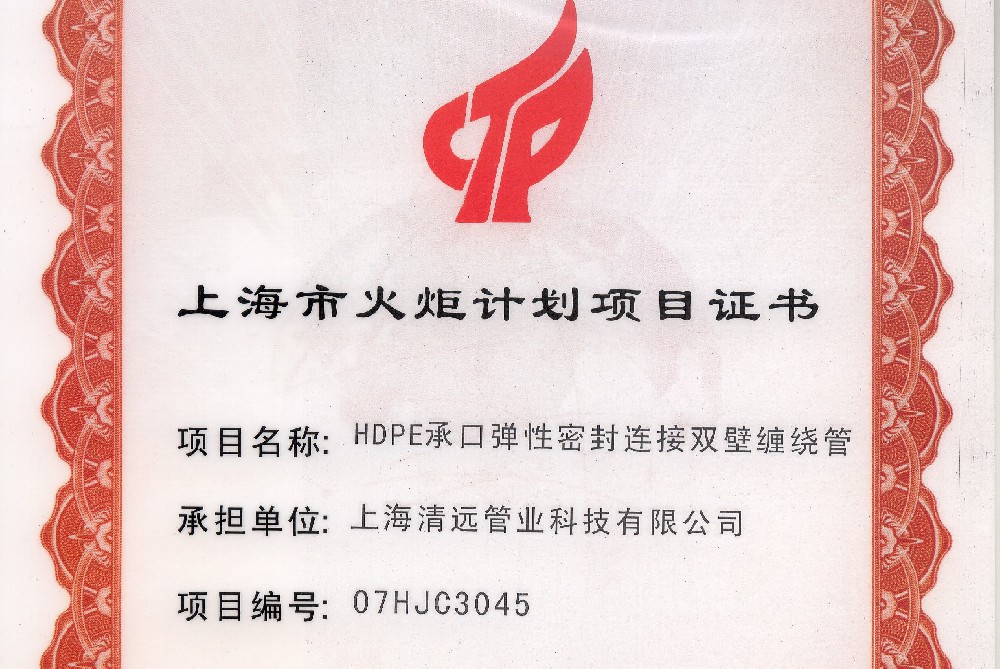 上海市火炬計劃項目