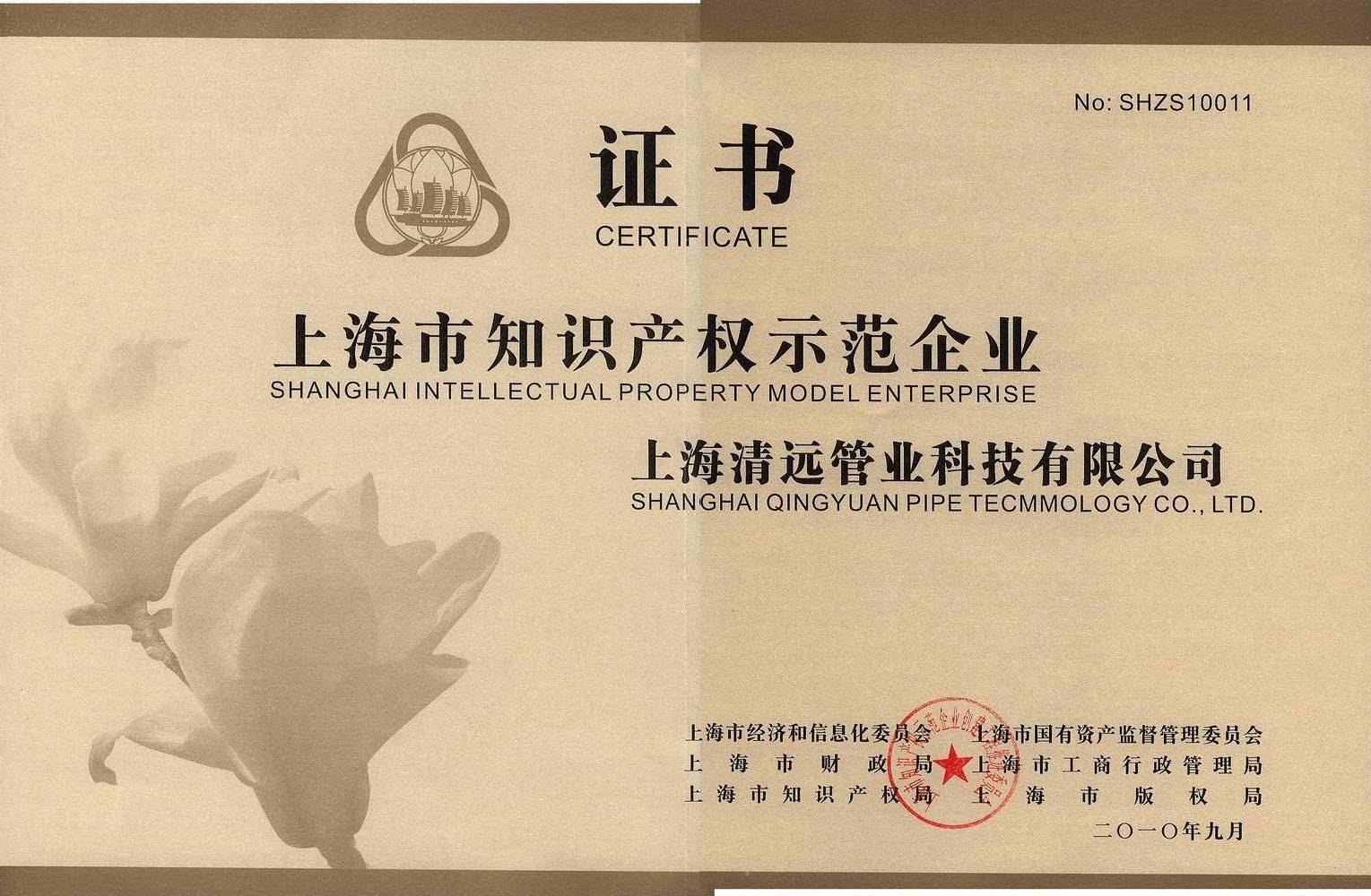 30、上海市知識產(chǎn)權(quán)示范企業(yè).jpg